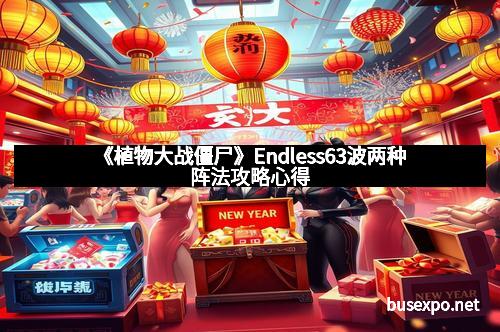 《植物大战僵尸》Endless63波两种阵法攻略心得